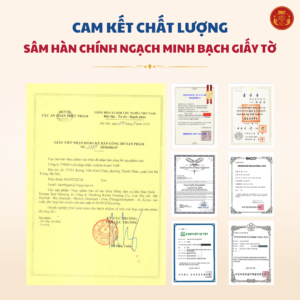 Hồng sâm củ khô Hàn Quốc 75g Premium số 30 (5 củ) – Daedong