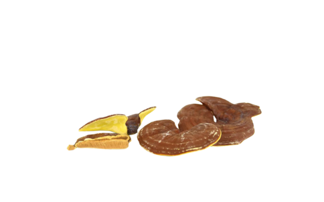 Điều Gì Làm Nên Sức Mạnh Khác Biệt Của Nấm Linh Chi Hàn Quốc So Với Phần Còn Lại?