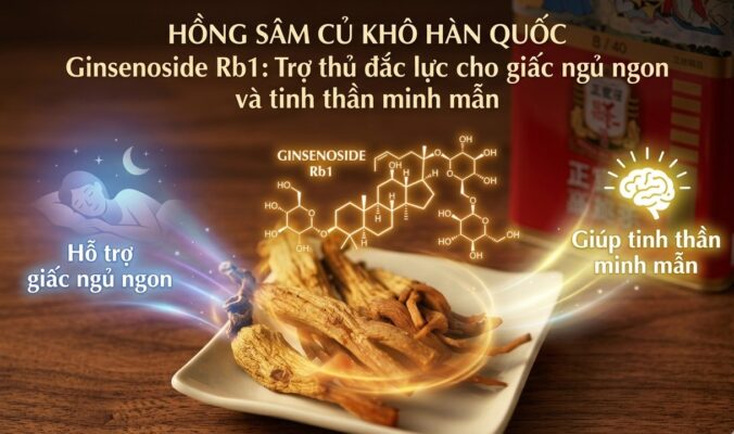 Ginsenoside Rb1: Trợ thủ đắc lực cho giấc ngủ ngon và tinh thần minh mẫn