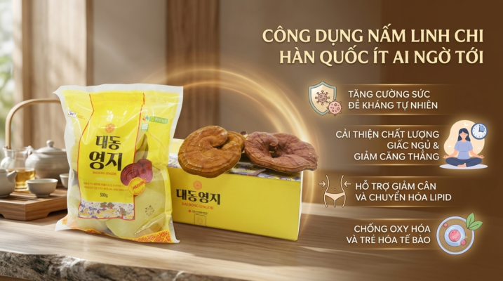 Công dụng nấm linh chi Hàn Quốc đối với sức khỏe như thế nào?