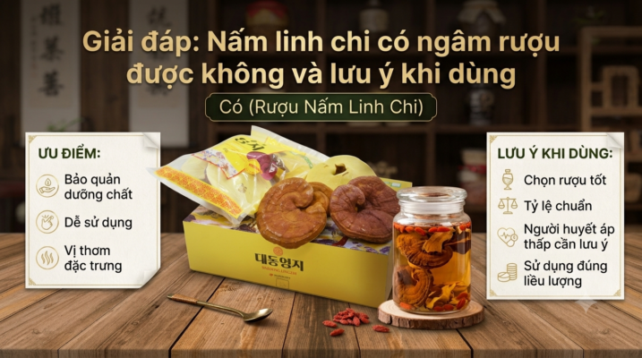 Giải đáp: Nấm linh chi có ngâm rượu được không và lưu ý khi dùng