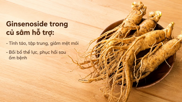 Sâm Hàn chính hãng - Giải pháp chăm sóc sức khỏe tuyệt vời! Sâm Hàn chính hãng - Giải pháp chăm sóc sức khỏe tuyệt vời!